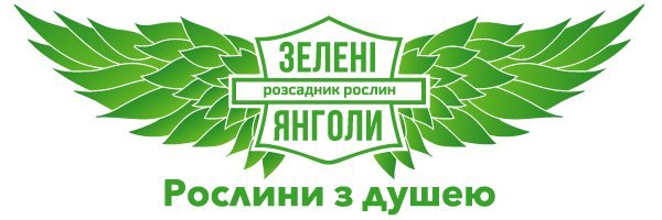 Розсадник рослин Зелені янголи